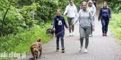 Nie ma chodnika, odpowiedniego owietlenia. Kiedy droga do schroniska stanie si bezpieczna, pyta Czytelniczka