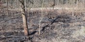 Pożar lasu. "Spłonęło 10 arów traw"