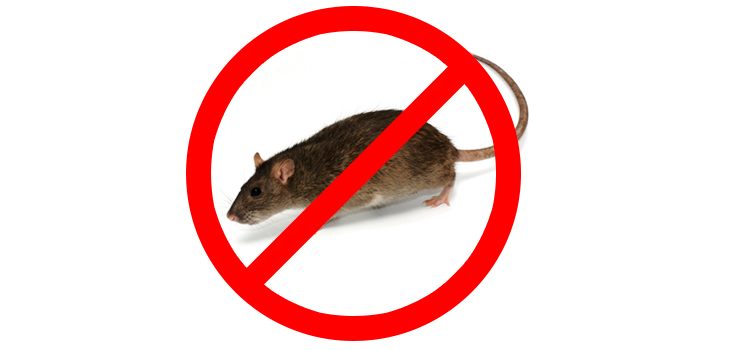 Obowiązkowa deratyzacja