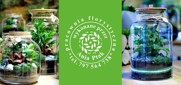 Stwórz swój własny las w słoiku – wygraj  GREEN Box na Święta