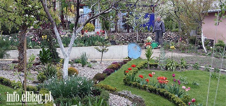 Wizyta na działce. Czy grozi nam za to mandat, pytają elblążanie