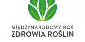 Midzynarodowy Rok Zdrowia Rolin