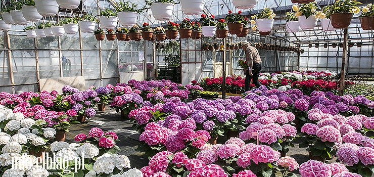 Rodzinne ogrodnictwo. Tu każdy znajdzie coś dla siebie. Zapraszamy!