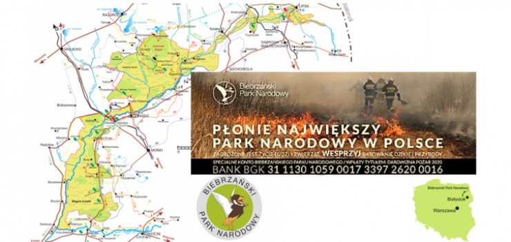 Elbląscy strażacy ratują Biebrzański Park Narodowy. "Tak wielki skarb, tak szybko możemy stracić"