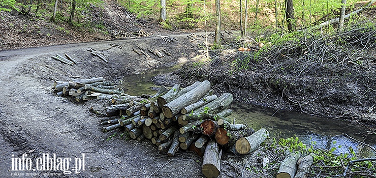 W Baantarni wycito kilkadziesit drzew. Ekolodzy alarmuj, urzdnicy uspokajaj