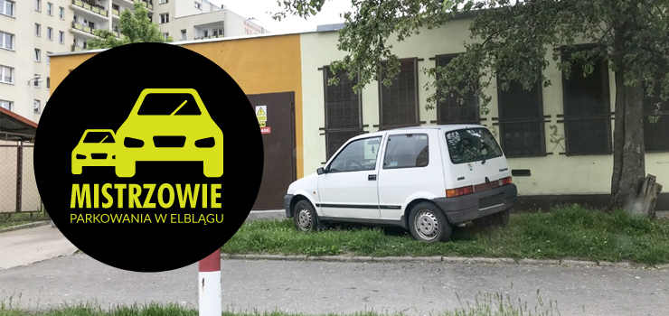 Mistrzowie parkowania w Elblągu (część 48)