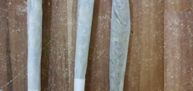 Zatrzymani za posiadanie marihuany