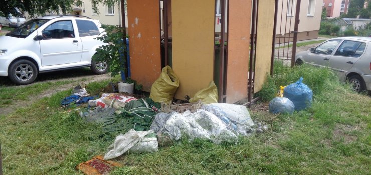 Dzikie wysypiska w Elblągu. "To wskazuje na nieodpowiedzialność elblążan"