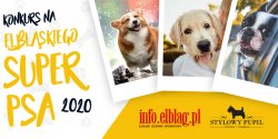 Zg�o� swojego pupila do konkursu "Elbl�ski Super Pies 2020"!