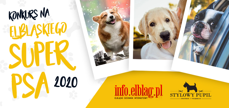 Zgłoś swojego pupila do konkursu "Elbląski Super Pies 2020"!