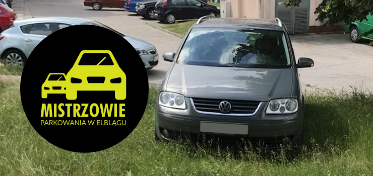 Mistrzowie parkowania w Elblągu (część 53)