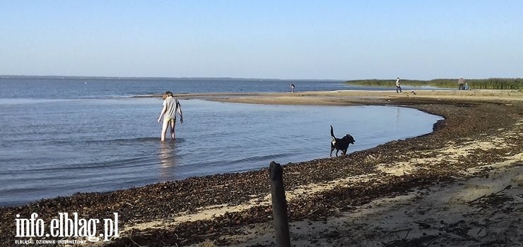 W Zalewie Wiślanym wykąpiesz się na własne ryzyko. Legalnie w Bałtyku i pasłęckim Jeziorku