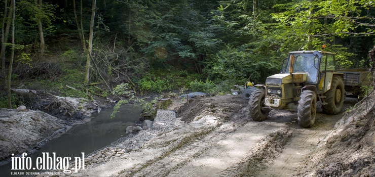 Trwają prace na Srebrnym Potoku. Ekolodzy alarmują i mówią o "niszczeniu rzeki"