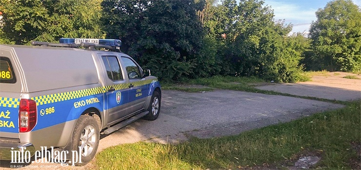 Bez prawa jazdy, z zakazem prowadzenia. Interwencja straży miejskiej na starówce