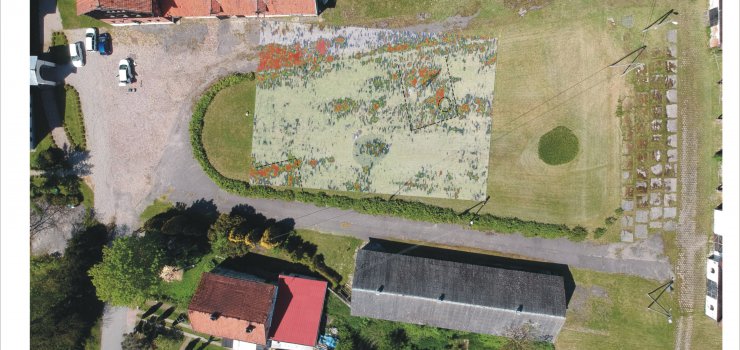 Nieopodal Elbląga znajduje się cmentarzysko Wikingów? "Pierwsze efekty już mamy"