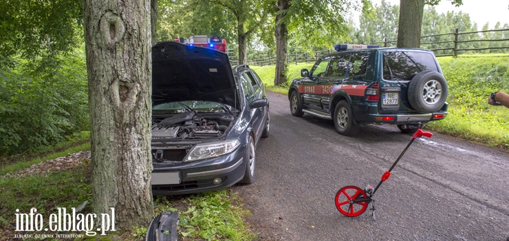 Wypadek w Próchniku na Strumykowej. Osobowe renault laguna uderzyło w drzewo