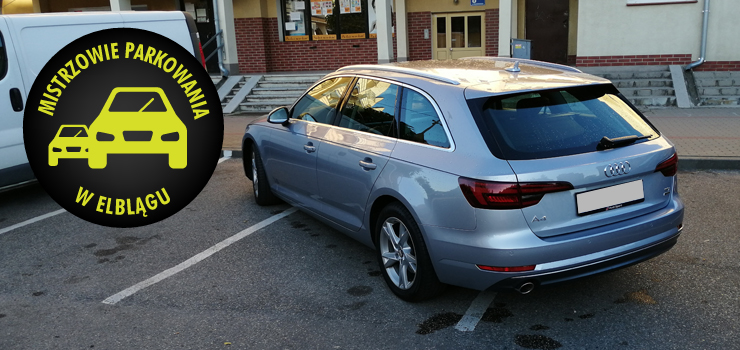 Mistrzowie parkowania w Elblągu (część 59)