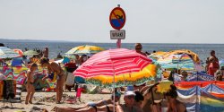 Sinice nad Batykiem: Odwoany zakaz kpieli w gminie Stegna