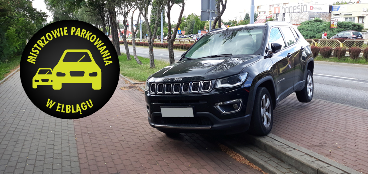 Mistrzowie parkowania w Elblągu (część 61)