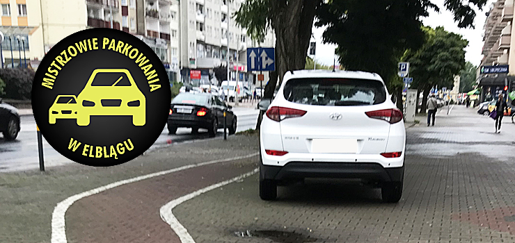 Mistrzowie parkowania w Elblągu (część 62)