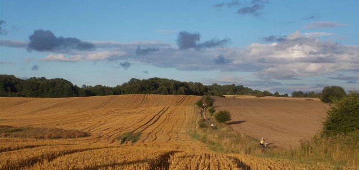 Zapraszamy na rowerową wycieczkę. Nieznany Nogat widziany z rowerów