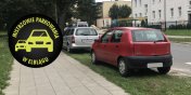 Mistrzowie parkowania w Elblągu (część 64)