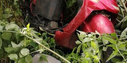 Motorowerem uderzy w samochd ciarowy. Stan kierowcy skutera bardzo ciki