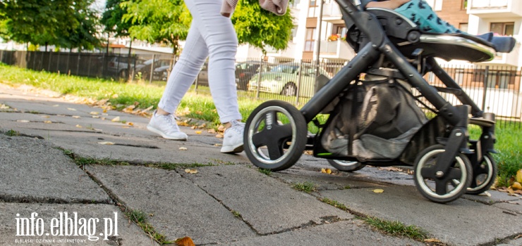 "Korzenie drzew deformują płyty chodnikowe na wysokości nawet 20 cm. Chodnik może nie spełniać norm bezpieczeństwa"
