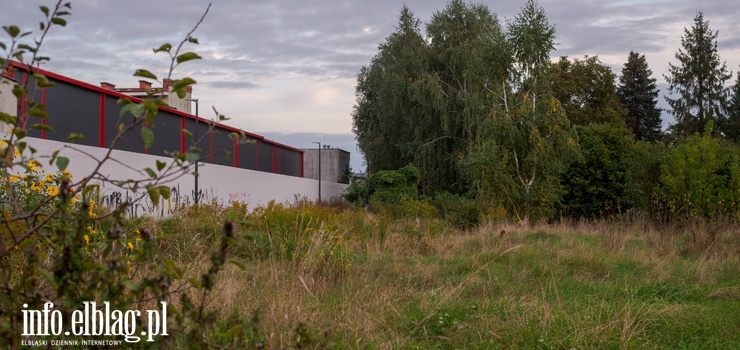 Miasto sprzedaje działki na ul. Skrzydlatej. Znajdzie się chętny?