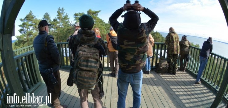 Wielka migracja ptaków online. Pandemia nie przeszkodziła w organizacji Ptasiego Pikniku