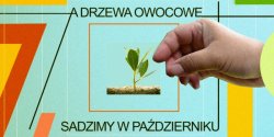 A drzewa owocowe sadzimy w pa�dzierniku! – zielona akcja w Galerii EL