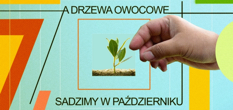 A drzewa owocowe sadzimy w październiku! – zielona akcja w Galerii EL