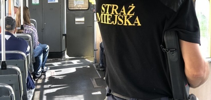 Ruszyły kontrole Straży Miejskiej w elbląskich autobusach i tramwajach