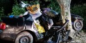 Tragiczny wypadek pod Braniewem. Nie żyje 18-latek. Kierowca i młodzi pasażerowie w szpitalu - zobacz zdjęcia