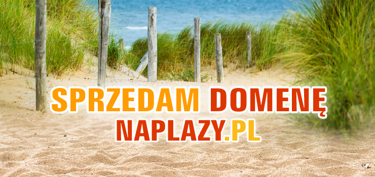 OKAZJA! Agencja oferuje do sprzedaży domenę naplazy.pl 