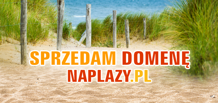 OKAZJA! Agencja oferuje do sprzedaży domenę naplazy.pl