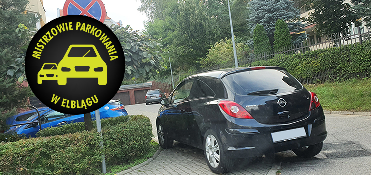 Mistrzowie parkowania w Elblągu (część 68)