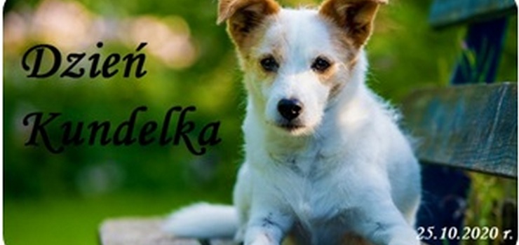 Elbląskie Zielone Pytanie. Weź udział w konkursie