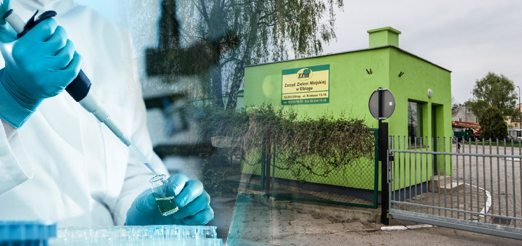 COVID-19 w Elblągu: Zmarł pracownik Zieleni Miejskiej. Miał 65 lat. Część załogi na kwarantannie