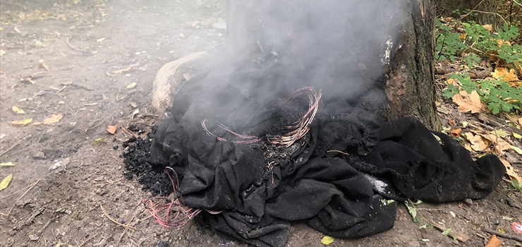 SPALAŁ KABLE W PARKU MODRZEWIE