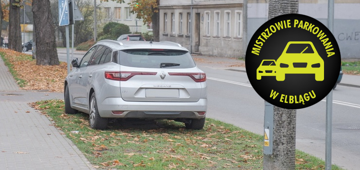 Mistrzowie parkowania w Elblągu (część 71)