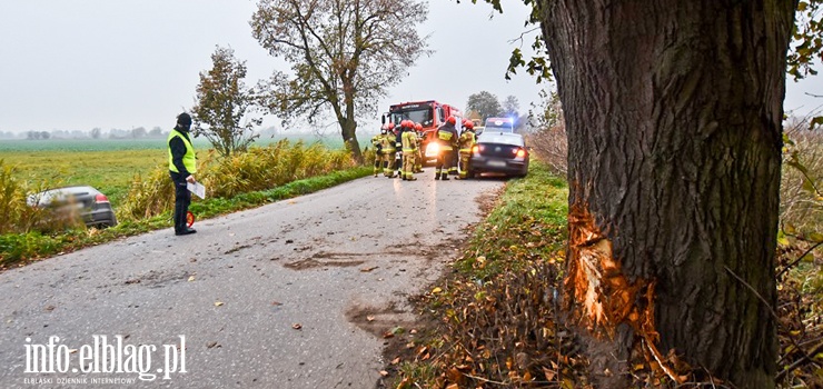 Groźny wypadek na drodze do Markus. Audi uderzyło w drzewo