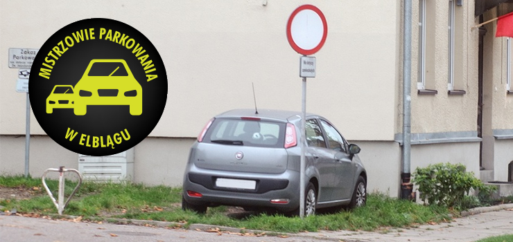 Mistrzowie parkowania w Elblągu (część 72)