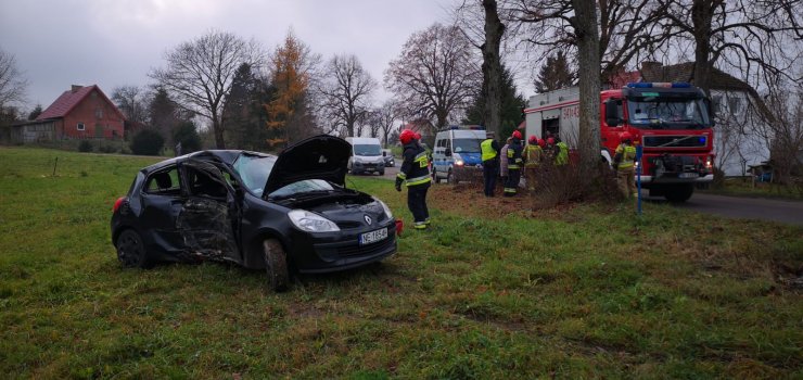 Osobowe renault uderzyo w drzewo. Kierujca 19-latka w szpitalu