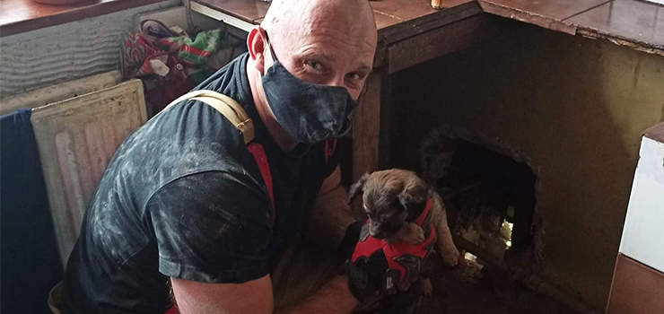 Nietypowe zdarzenie. Pies wpadł do...przewodu wentylacyjnego. Akcję prowadzili strażacy z Markus