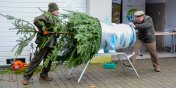 Nadlenictwo Elblg niebawem rozpocznie sprzeda choinek