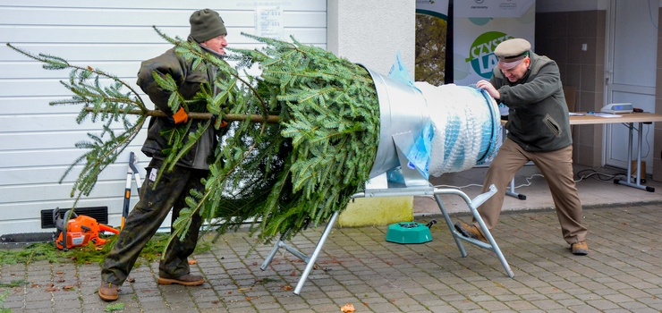 Nadlenictwo Elblg niebawem rozpocznie sprzeda choinek