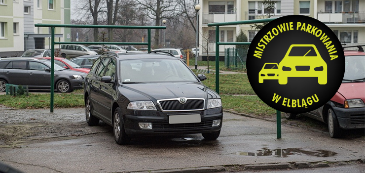 Mistrzowie parkowania w Elblgu (cz 76)