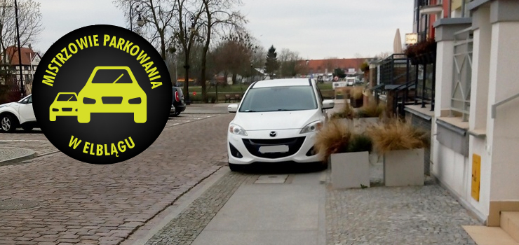 Mistrzowie parkowania w Elblągu (część 79)