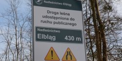  Chcesz wjecha do lasu? Szukaj drogowskazu, ktry Ci na to pozwoli!